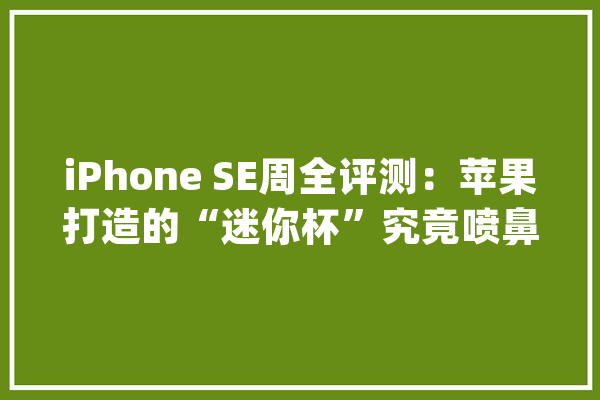 iPhone SE周全评测：苹果打造的“迷你杯”究竟喷鼻香不喷鼻香？_苹果_芯片