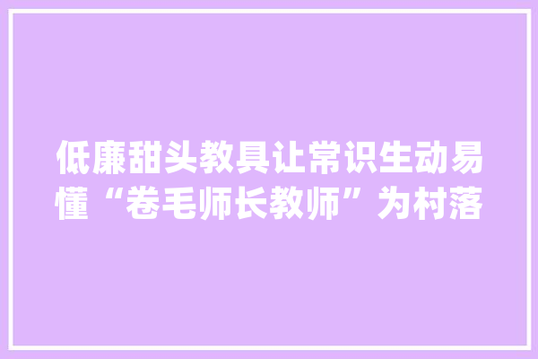 低廉甜头教具让常识生动易懂“卷毛师长教师”为村落孩子上魔法般科学课_教具_甜头 智能写作