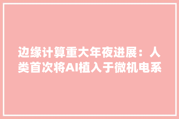 边缘计算重大年夜进展：人类首次将AI植入于微机电系统设备_微机_体系