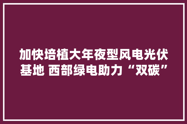 加快培植大年夜型风电光伏基地 西部绿电助力“双碳”目标_光伏_村 智能写作