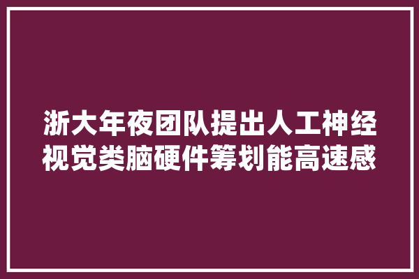 浙大年夜团队提出人工神经视觉类脑硬件筹划能高速感知和识别图像_视觉_光电 绘影字幕