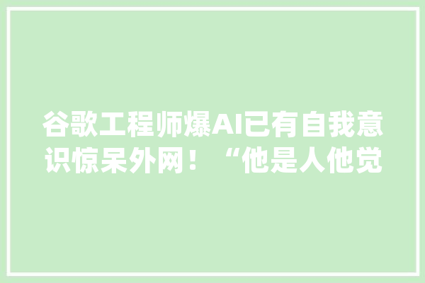 谷歌工程师爆AI已有自我意识惊呆外网！“他是人他觉醒了！”_人类_魂魄 AI快讯