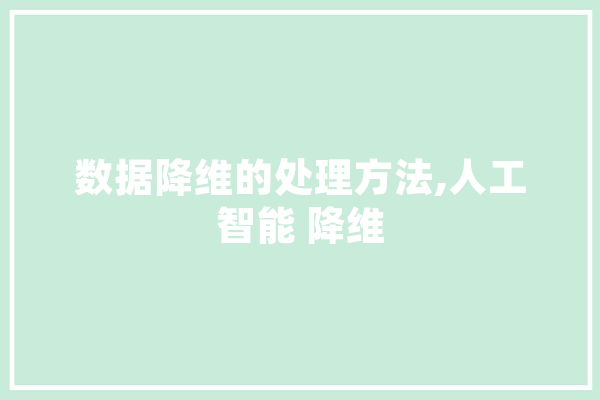 数据降维的处理方法,人工智能 降维
