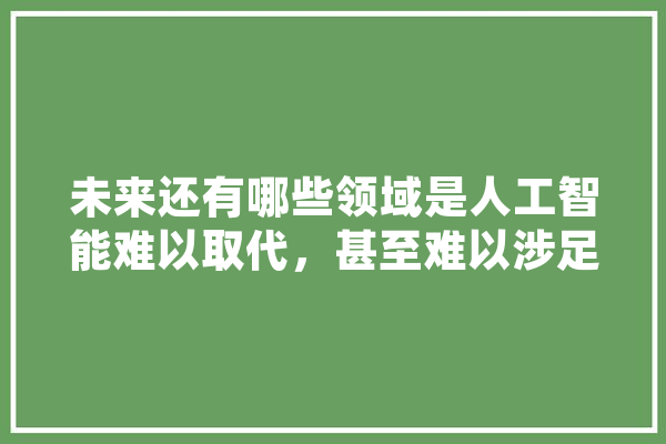 未来还有哪些领域是人工智能难以取代，甚至难以涉足的,人工智能停滞不前 AI简讯