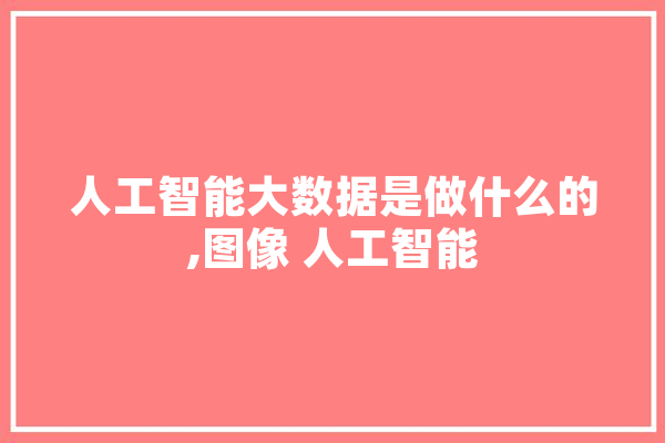 人工智能大数据是做什么的,图像 人工智能