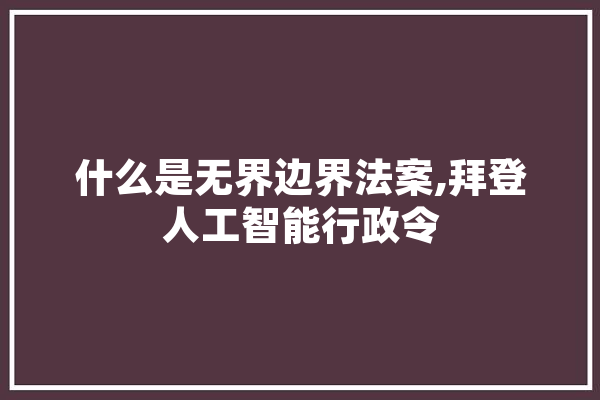 什么是无界边界法案,拜登人工智能行政令