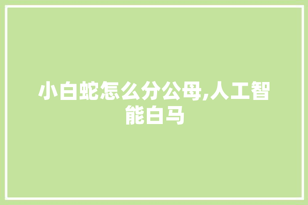 小白蛇怎么分公母,人工智能白马 智能助手