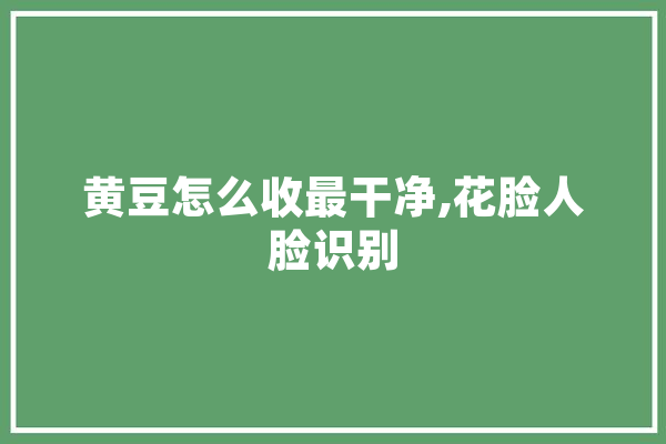 黄豆怎么收最干净,花脸人脸识别 云服务