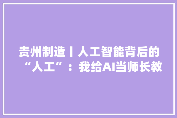 贵州制造丨人工智能背后的“人工”：我给AI当师长教师_数据_铜仁 计算机