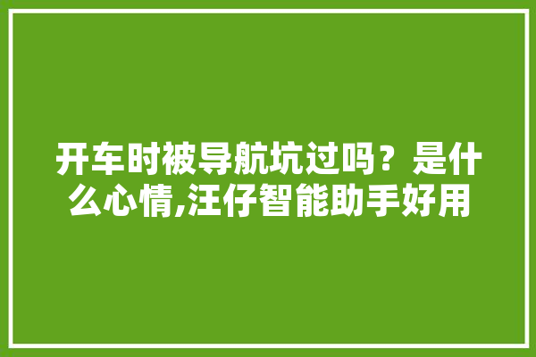 开车时被导航坑过吗？是什么心情,汪仔智能助手好用吗 计算机