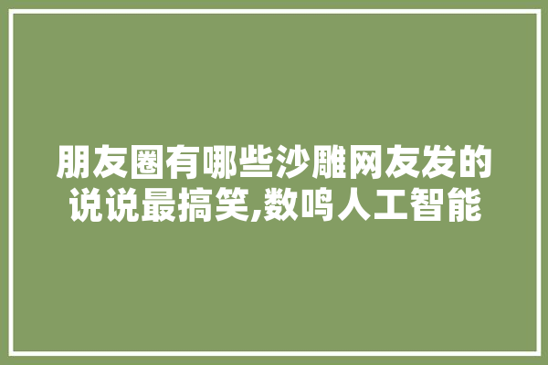朋友圈有哪些沙雕网友发的说说最搞笑,数鸣人工智能项亮 智能助手