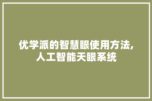 优学派的智慧眼使用方法,人工智能天眼系统 文字写作