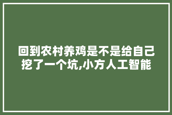 回到农村养鸡是不是给自己挖了一个坑,小方人工智能怎么样
