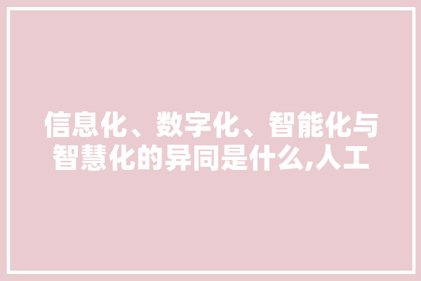 信息化、数字化、智能化与智慧化的异同是什么,人工智能机房图片 计算机