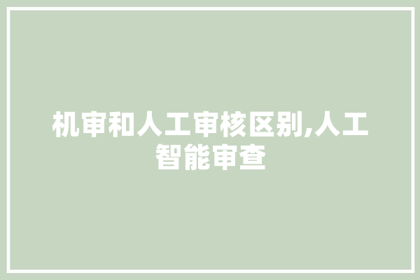 机审和人工审核区别,人工智能审查 绘影字幕