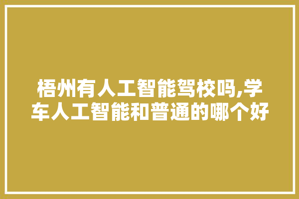 梧州有人工智能驾校吗,学车人工智能和普通的哪个好 智能写作