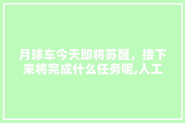 月球车今天即将苏醒，接下来将完成什么任务呢,人工智能驾舱图片 智能助手