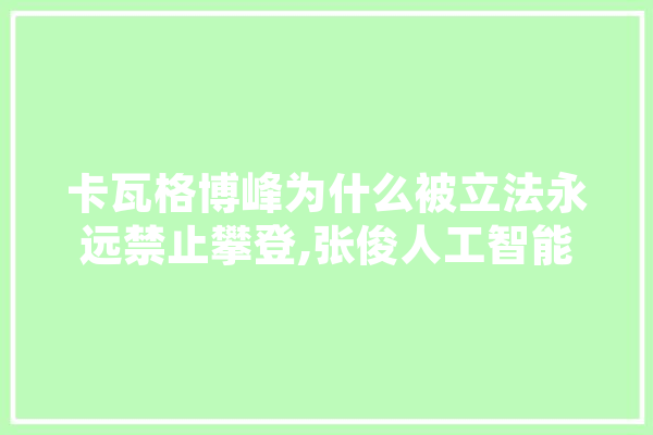 卡瓦格博峰为什么被立法永远禁止攀登,张俊人工智能简历 云服务