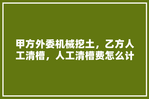 甲方外委机械挖土，乙方人工清槽，人工清槽费怎么计算,人工智能情人
