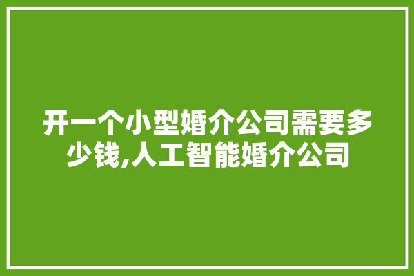 开一个小型婚介公司需要多少钱,人工智能婚介公司 计算机