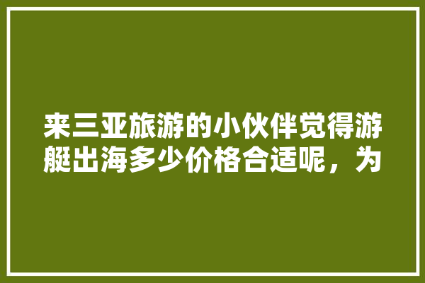 来三亚旅游的小伙伴觉得游艇出海多少价格合适呢，为什么,人工智能打拳 AI简讯