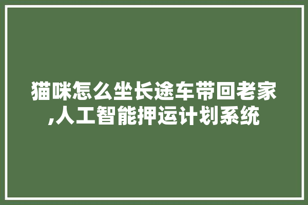 猫咪怎么坐长途车带回老家,人工智能押运计划系统 科技快讯
