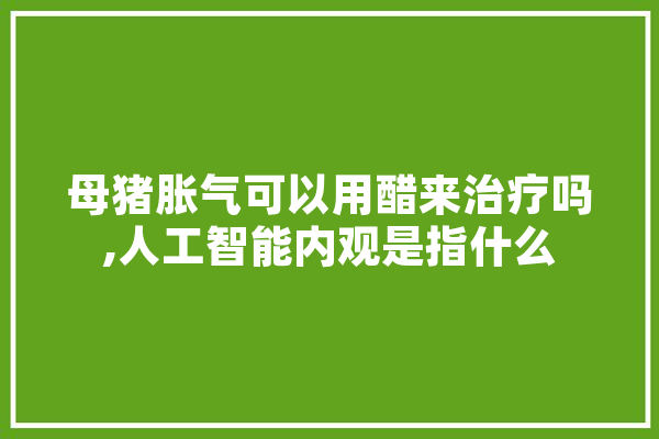 母猪胀气可以用醋来治疗吗,人工智能内观是指什么