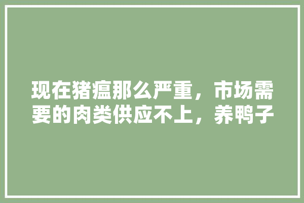 现在猪瘟那么严重，市场需要的肉类供应不上，养鸭子能行吗,人工智能养禽的优缺点