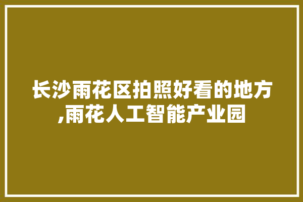 长沙雨花区拍照好看的地方,雨花人工智能产业园