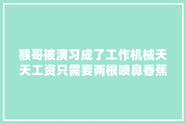 猴哥被演习成了工作机械天天工资只需要两根喷鼻香蕉！猴哥来了_椰子_山公