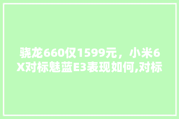 骁龙660仅1599元，小米6X对标魅蓝E3表现如何,对标人工智能的公司 AI快讯