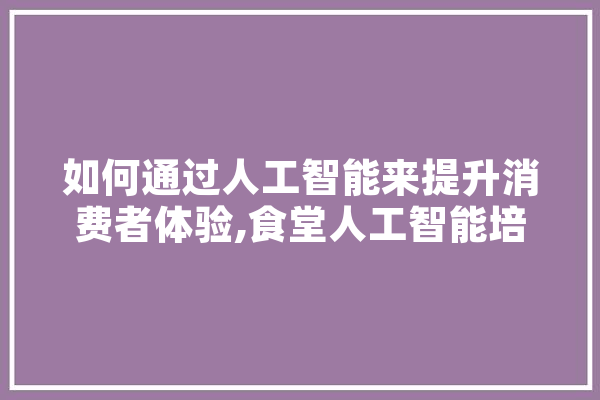 如何通过人工智能来提升消费者体验,食堂人工智能培训内容 文字写作
