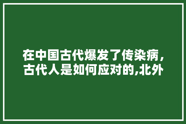在中国古代爆发了传染病，古代人是如何应对的,北外人工智能 计算机