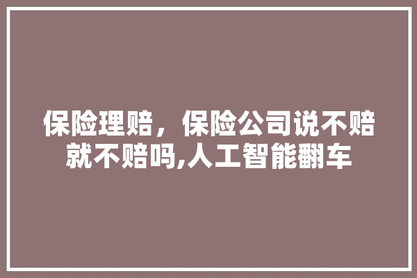 保险理赔，保险公司说不赔就不赔吗,人工智能翻车