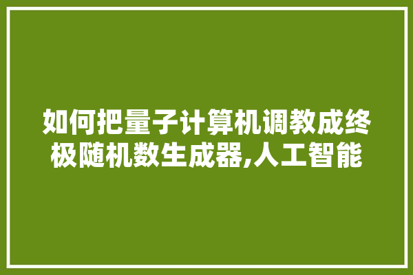 如何把量子计算机调教成终极随机数生成器,人工智能调教是什么意思啊