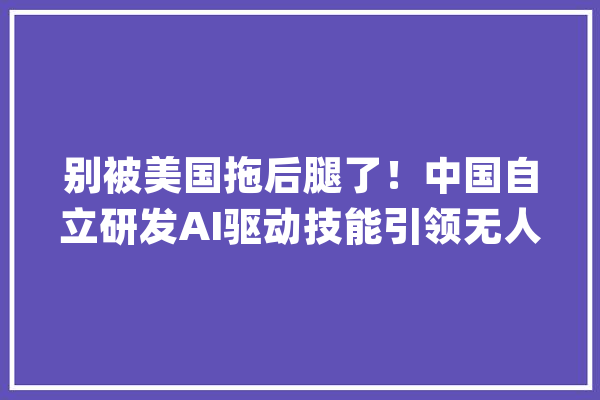 别被美国拖后腿了！中国自立研发AI驱动技能引领无人驾驶革命_底层_技巧 智能写作