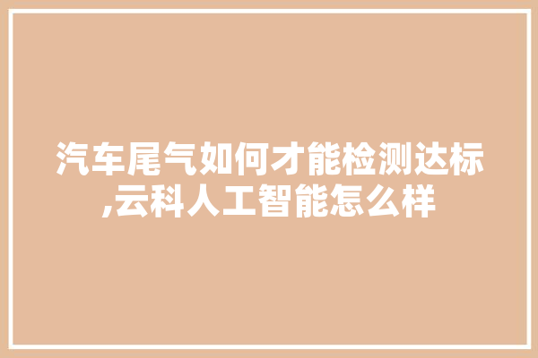 汽车尾气如何才能检测达标,云科人工智能怎么样 计算机