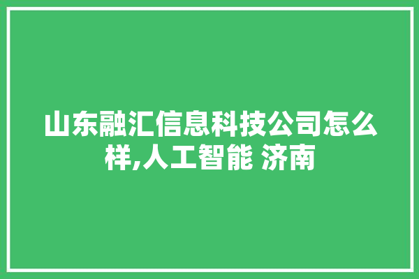 山东融汇信息科技公司怎么样,人工智能 济南