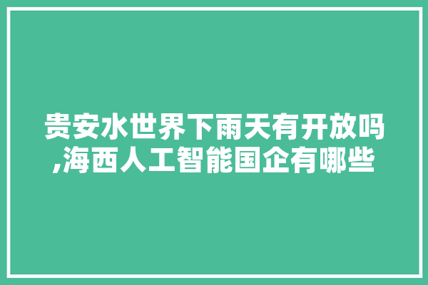 贵安水世界下雨天有开放吗,海西人工智能国企有哪些