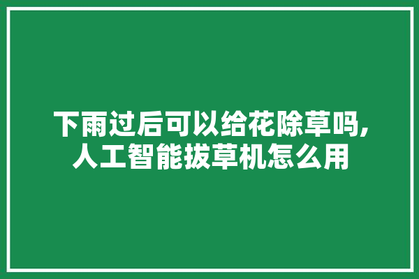下雨过后可以给花除草吗,人工智能拔草机怎么用