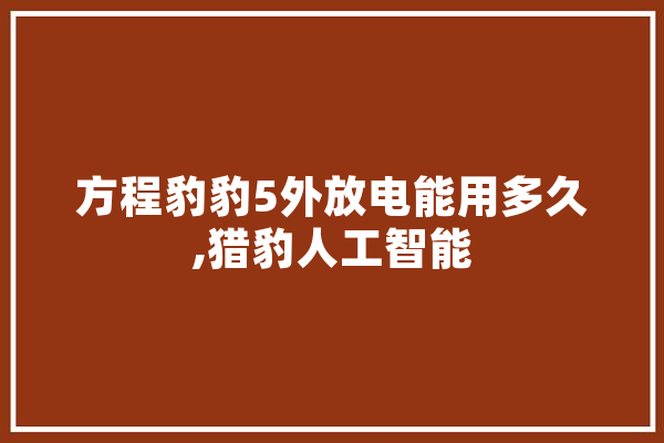 方程豹豹5外放电能用多久,猎豹人工智能