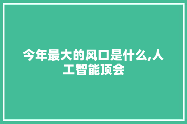 今年最大的风口是什么,人工智能顶会