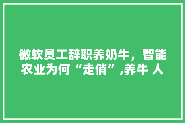 微软员工辞职养奶牛，智能农业为何“走俏”,养牛 人工智能