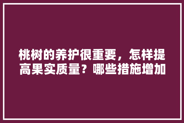 桃树的养护很重要，怎样提高果实质量？哪些措施增加树体养分,人工智能 农业