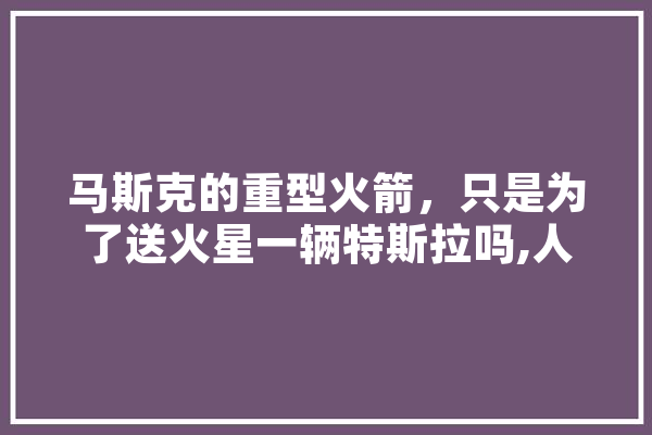 马斯克的重型火箭，只是为了送火星一辆特斯拉吗,人工智能火箭炮 智能问答