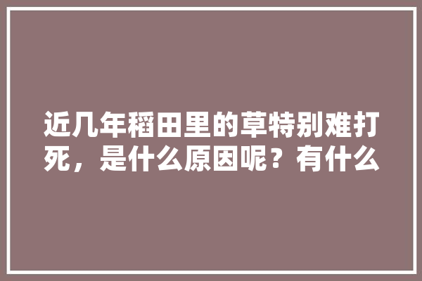 近几年稻田里的草特别难打死，是什么原因呢？有什么除草配方,安达人工智能怎么样 AI简讯