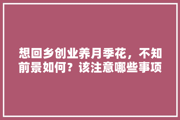 想回乡创业养月季花，不知前景如何？该注意哪些事项,天狼人工智能怎么样