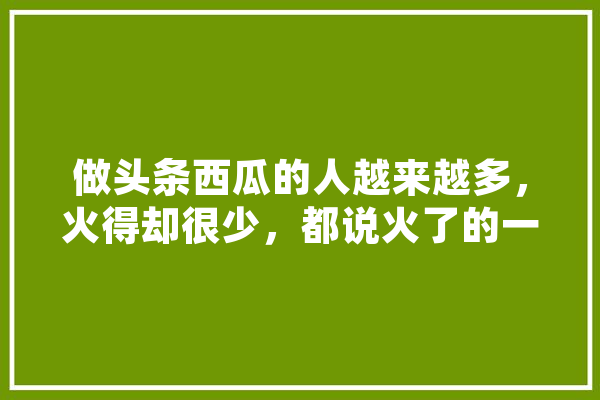 做头条西瓜的人越来越多，火得却很少，都说火了的一般都是团队运营的，那么你觉得自己能吗,武悦人工智能怎么样
