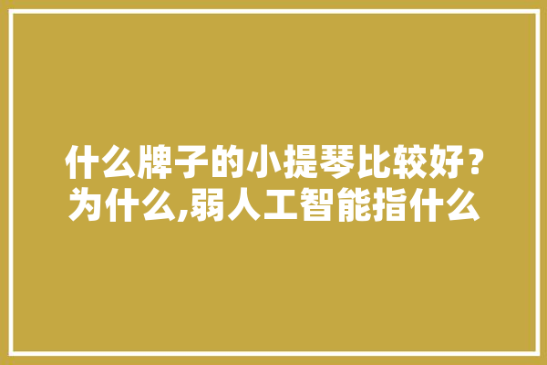 什么牌子的小提琴比较好？为什么,弱人工智能指什么