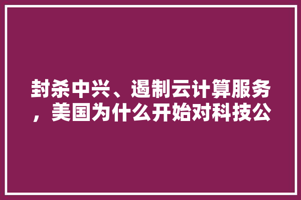 封杀中兴、遏制云计算服务，美国为什么开始对科技公司下重手,人工智能技术封锁 智能助手